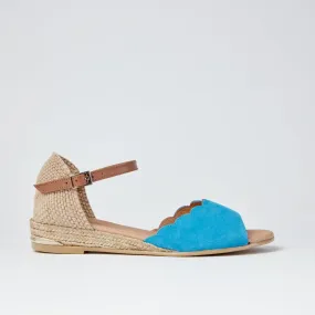 Sal scallop blue flat