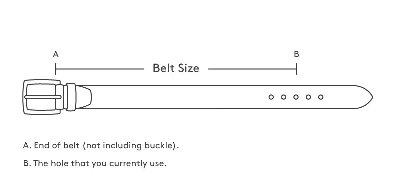 Sand Western Cowboy Belt Snake Print Leather - Rodeo Buckle